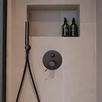 Olive 304